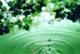 素不相识的朋友