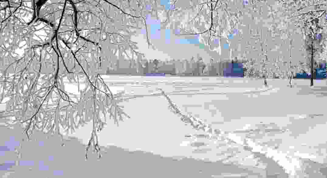 【夜读 · 散文】轮战十五个日夜