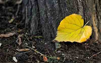 丰功伟绩给你我的骨髓