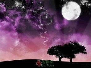 紫色为什么成了王室专用色