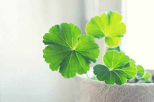 关于爱情的有些伤感但却很有道理的唯美文艺说说2