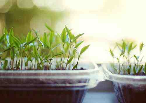 关于爱情的有些伤感但却很有道理的唯美文艺说说1