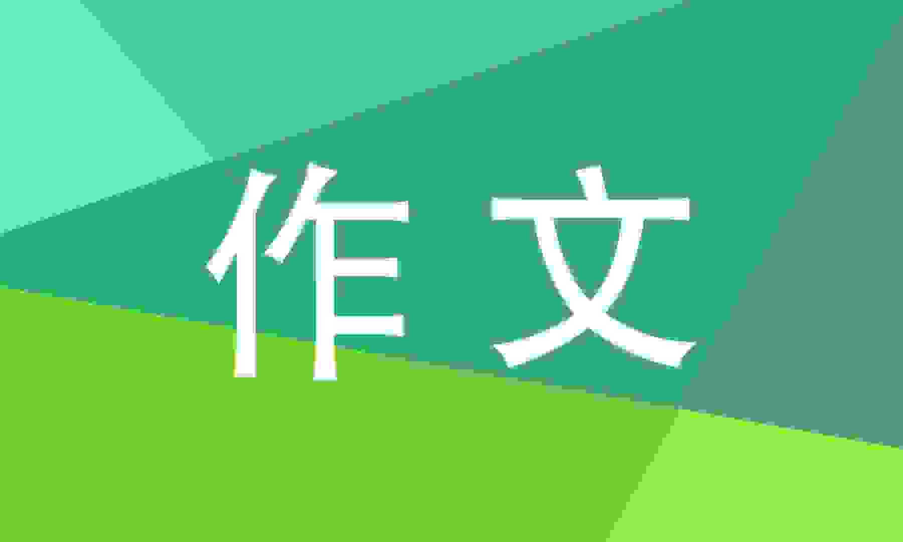 大学生活感悟随笔作文