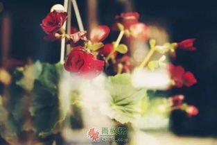 来不及珍重的告别