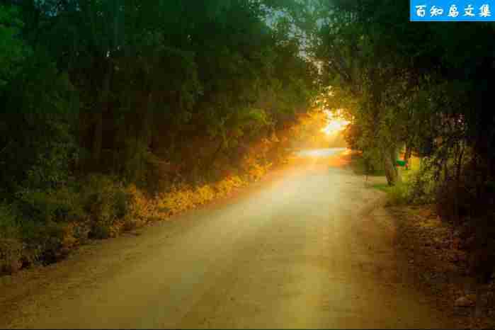 祝公司发展蒸蒸日上的祝福语大全