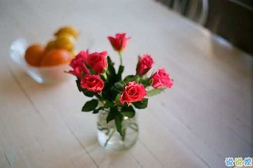 心好累好迷茫的说说2019最新 一次又一次失望的说说2