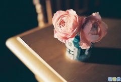 心好累好迷茫的说说2019最新 一次又一次失望的说说