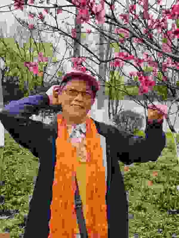 跟着名家学写作,冰心奖作家的精选作品集带孩子走进充满童真的文学世界