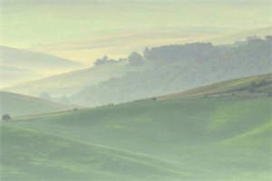 忘记我是鸟和大叔谈恋爱精彩小说_陈妍梁序目录阅读