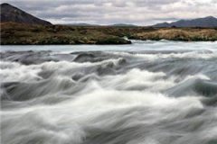 双十一，我奔现了(鹿彦周浩)全文完整版阅读