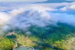 假死梗虐恋(赵逸宋汐)全文完整版阅读