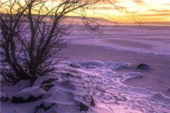 梨花落尽恨见你小说 苏阮梨陆司越在线阅读_单元作文