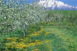 《在学长家借住》免费章节-小说简诗语江予全文阅读