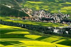 【完结】《几曾识朱颜》小说萧望之谢钰青全章节阅读