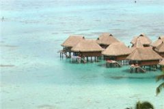 《离婚前老婆重生了》小说厉司决温卿卿最新章节阅读(完整版未删节)