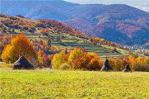 待君归陆婉柔寂星渊全本小说章节目录阅读