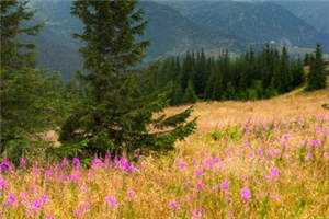 爱你蓄谋已久免费阅读 时晚沈亦辞小说阅读