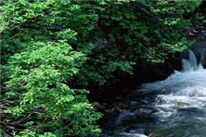 重生七零小娇娇(许如娇秦战北)全文完整版阅读