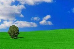 苏婉御墨池全文小说_一诺许终身全集阅读_成语大全