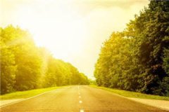 (独家)将军之女小说-林楚楚宁琛全文免费阅读