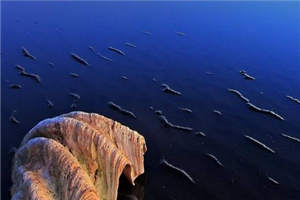 谁的亲妈免费阅读 江扬刘念念小说阅读 第1张