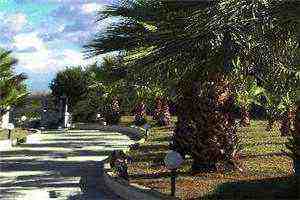 陶真裴湛全文小说_穿成病娇大佬的恶毒大嫂全集阅读 第1张