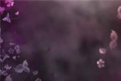 错嫁缠婚：首富老公乖乖宠我完整版在线阅读(主角洛薇傅沉渊)