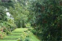 穿成病娇大佬的恶毒大嫂陶真裴湛全本小说章节目录阅读