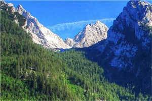 苏夏夏沈清河最新小说大结局阅读