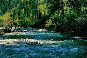 老师拐回家小说吴林尧陆逸林完结版全文阅读