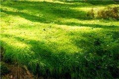 他对我撒了谎舒年蒋云澈推荐小说阅读