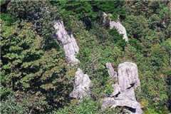 苏夏夏沈清河最新小说大结局阅读