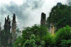 男友摔了我的猫完结小说_李卿卿陆扬全章节阅读