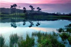 沐葵莫御擎小说最新章节阅读