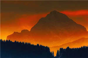 唐诚胡梦柔对局完结版小说全章节目录