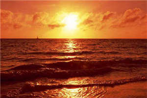 薄总别虐了，夫人已经送到火葬场三天三夜了完本小说_沈襄薄南辞全集阅读