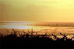 我的保研被替顾筱江雪免费阅读 顾筱江雪小说在线阅读