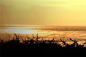 我的保研被替顾筱江雪免费阅读 顾筱江雪小说在线阅读