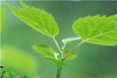 意外的体检全本小说_(陈佳顾霄)完整版阅读