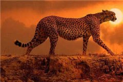 尘尘未敏精彩小说_(叶敏顾续尘)全文阅读