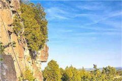 新上《病娇大佬的心尖儿丫头,别淘气》慕时忆顾怀钊小说免费阅读