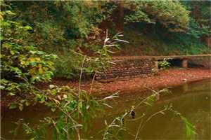 陈灿姚姗姗保守的陪玩全章节小说全文阅读