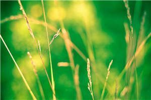 宋雁书陆渊沈归迟小说全章节阅读