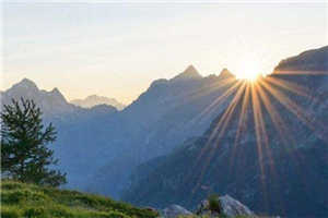 陛下，您把娘娘送敌国了沈念慈陆之天全文全章节免费小说阅读