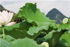 离别后的重逢陈南嘉慕时全本完结版小说阅读