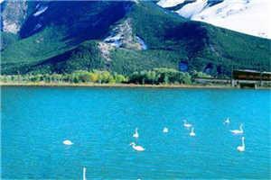 张巧遇张彩环「热门小说」_闹心父母全文阅读