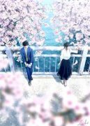 表姐不是亲戚小说结局(李俊杨琳)全文免费阅读_表姐不是亲戚结局最新章节