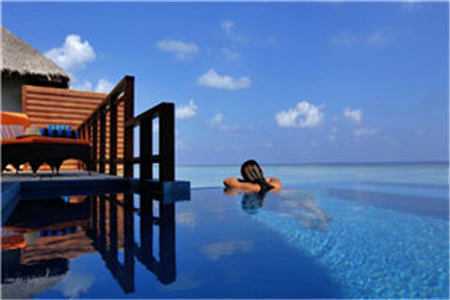 挑衅分手了免费全文阅读小说