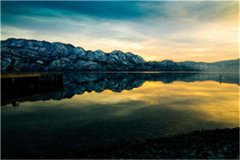 初恋归来秦泽虞嫣小说免费阅读