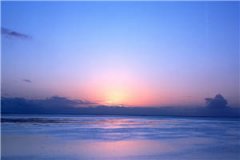 因爱成劫宁嘉歌墨闻城全文小说完结版阅读